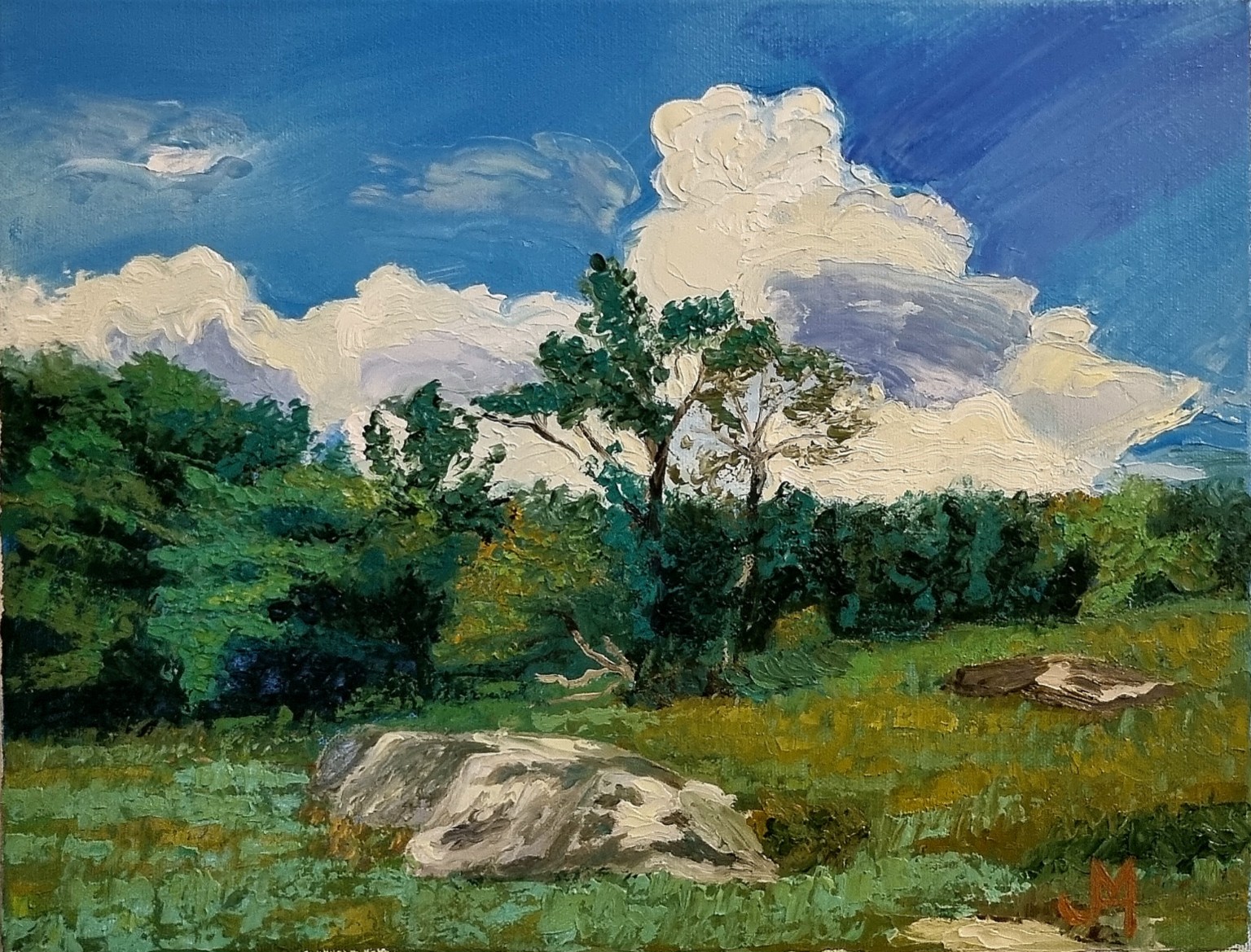 Meadow landscape